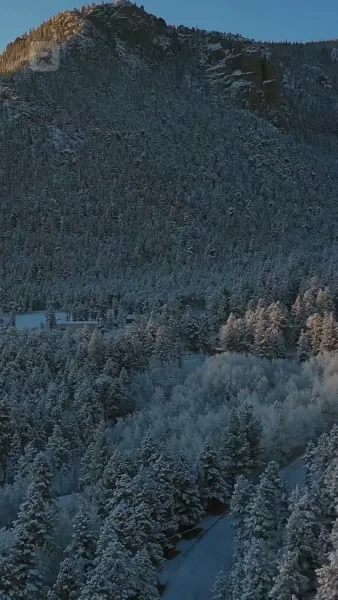 หนุ่มเมืองหนาวหวานใจบอสสาวไฮโซ