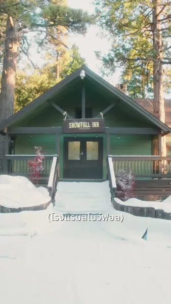 หนุ่มเมืองหนาวหวานใจบอสสาวไฮโซ