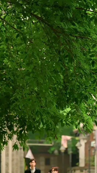 ทิ้งรักสู่ทางฝัน