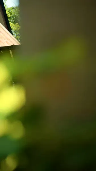 ทิ้งรักสู่ทางฝัน