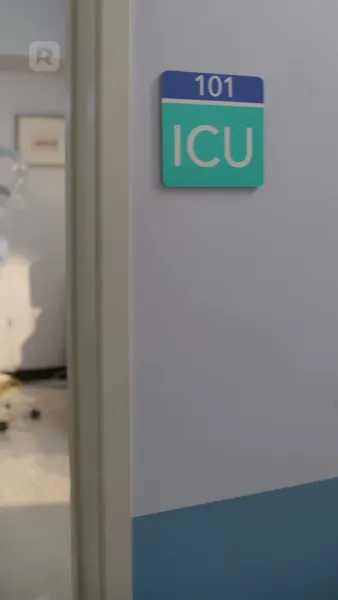 เดอะ ลอสท์ พรีมา บัลเลรินา