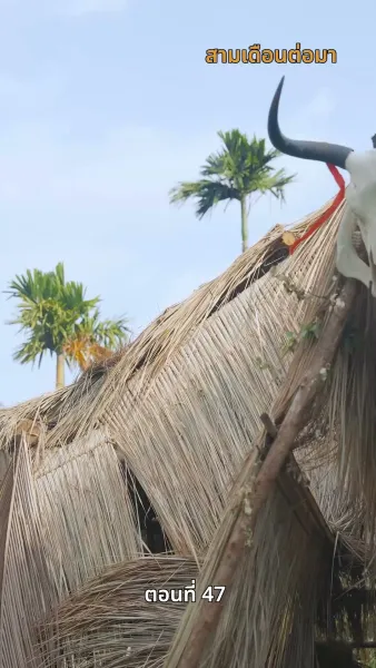 ข้ามเวลามาหานายล้านปี