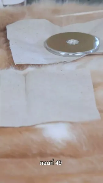 ข้ามเวลามาหานายล้านปี