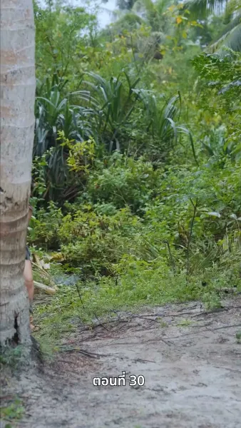 ข้ามเวลามาหานายล้านปี