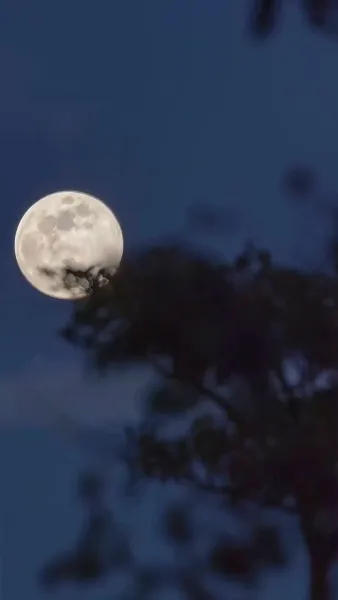 เกมวิวาห์ไร้หัวใจ