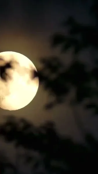 รักนี้หมดอายุ(พากย์ไทย)