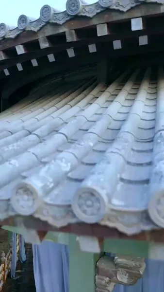 สิ้นกลีบบุปผา