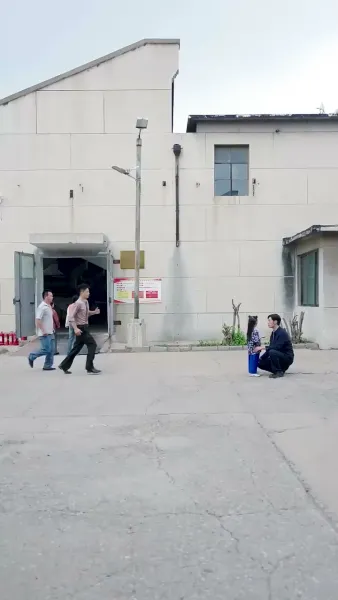 การคลุมถุงชนนี้ในยุค 80