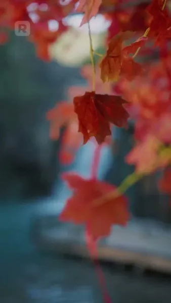 วันนี้ก็ยังพยายาม พิชิตใจพระเอกอยู่