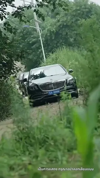 ชีวิตรันทดของวิภา