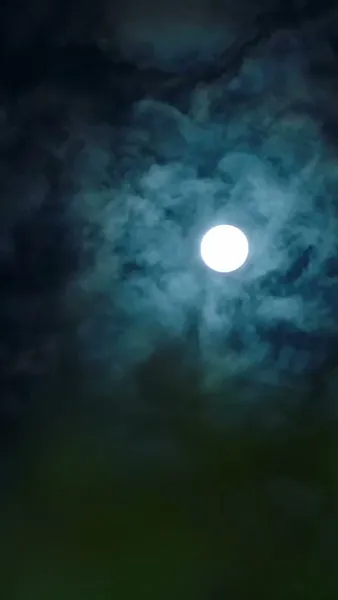 ล้างแค้นแนบรัก