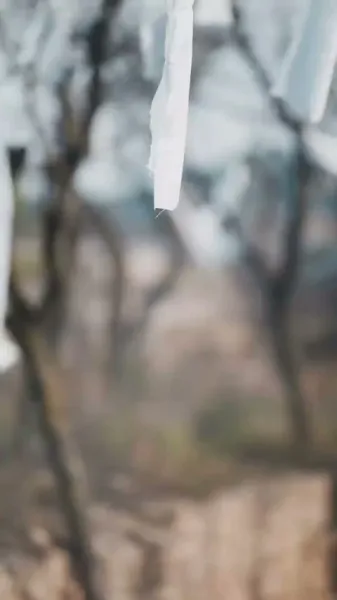 ตำนานดำแห่งโชคชะตา