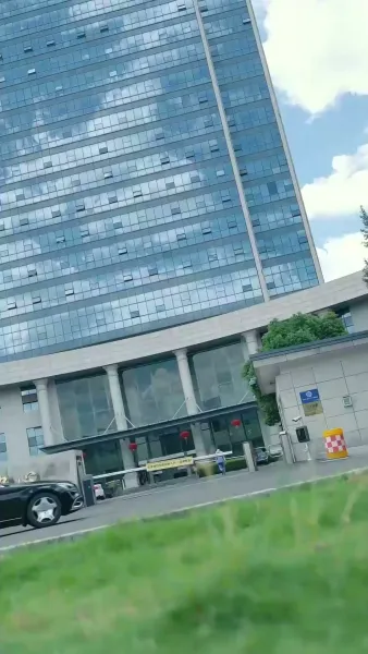 แผนลวงบ่วงรักมาเฟีย(พากย์ไทย)