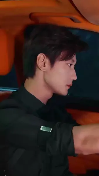 แผนลวงบ่วงรักมาเฟีย(พากย์ไทย)