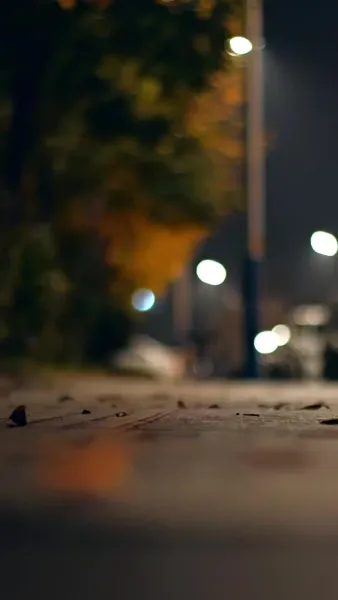 เจ้าสาวสายฟ้าแลบของคุณหมอ