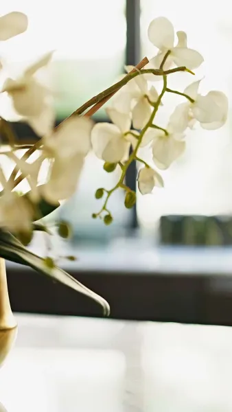 เจ้าสาวสายฟ้าแลบของคุณหมอ