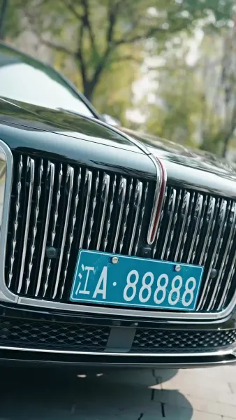 เจ้าสาวสายฟ้าแลบของคุณหมอ