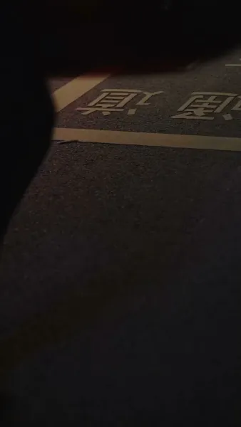  ล่าแค้นล่ารัก