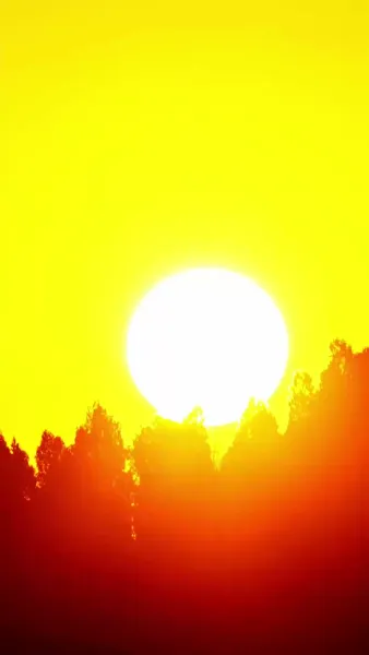 กุ้ยเฟยของข้า ผู้ใฝ่หาความตาย