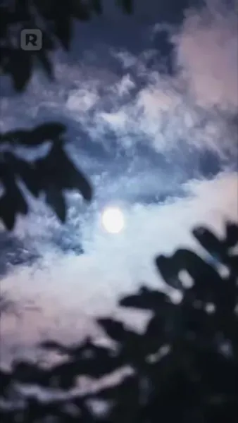 (พากย์) จมดิ่งในราตรีขาว