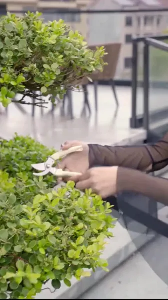 เทพหมอสะท้านใจ