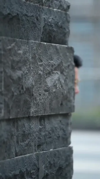 คุณหนูซ่งสุดที่รัก