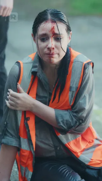 รักวุ่นวายหัวใจสองบวกสามดวง