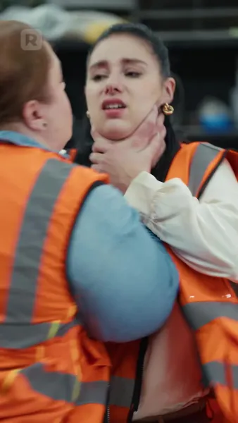 รักวุ่นวายหัวใจสองบวกสามดวง