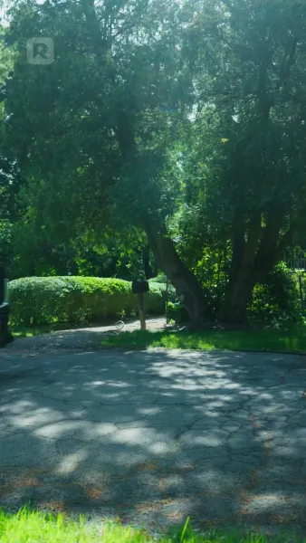 รักวุ่นวายหัวใจสองบวกสามดวง