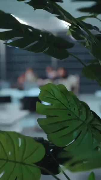 นายเหนือนาย