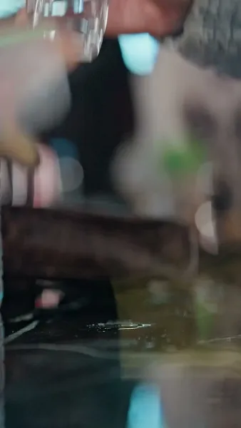 มังกรผงาดจากดิน 1