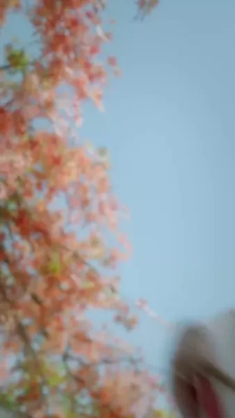 รอยยิ้มใต้บัลลังก์