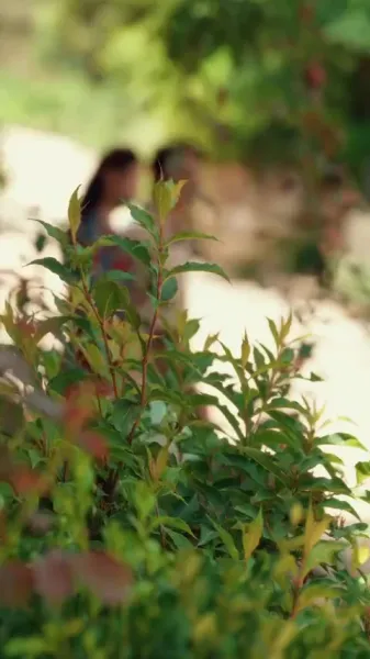 ล้างรอยเดิม เพื่อเริ่มใหม่