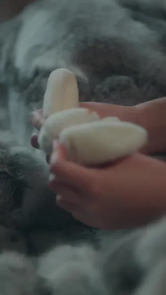 รักปลอมๆ หลงจริงจัง