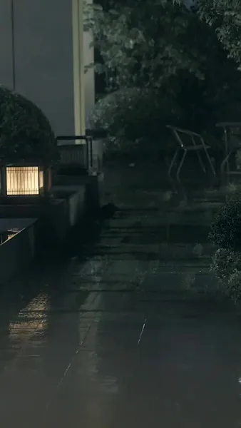 รักปลอมๆ หลงจริงจัง