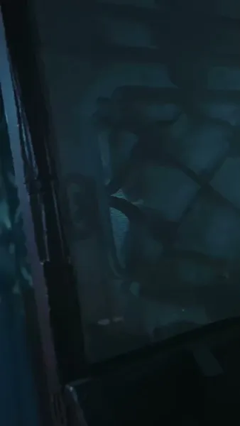 เจ้าหญิงเทพนิดา