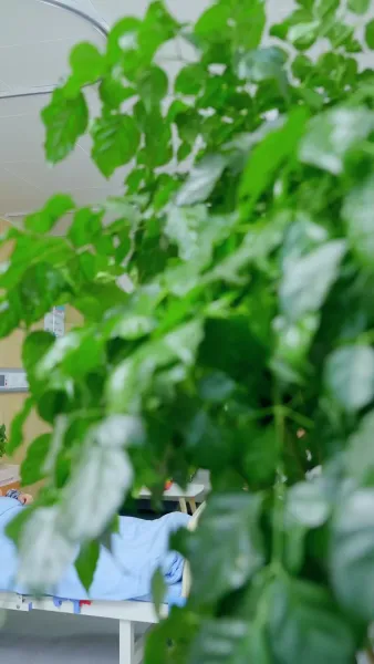 โลกสว่างขึ้น ตั้งแต่เธอจูบ