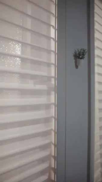 เมียผมเป็นผู้ชาย?!