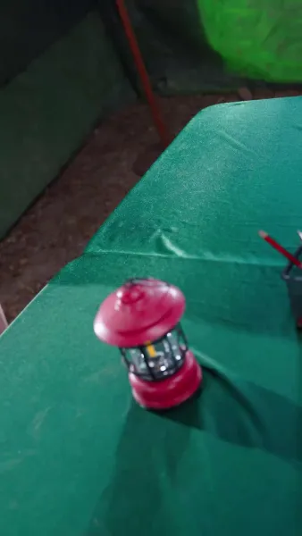 เลือกรักที่ไร้ทางเลือก