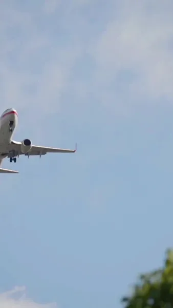 แค้นรักภรรยาจำเลย