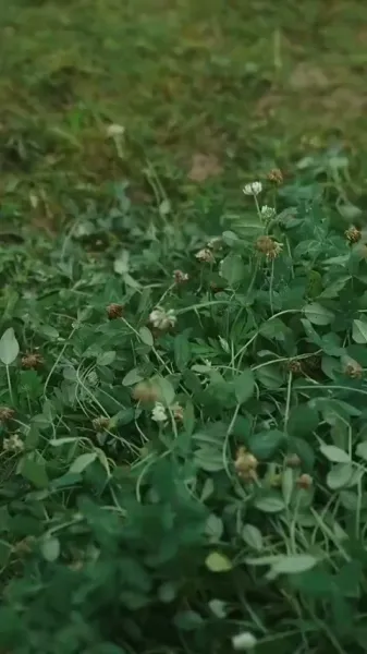 จุดจบคือจุดเริ่มต้นของเรา