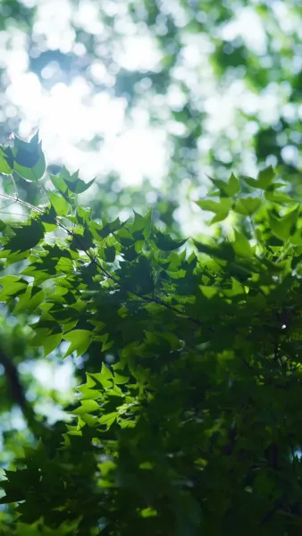 ที่รักเรามาคบกันเถอะ