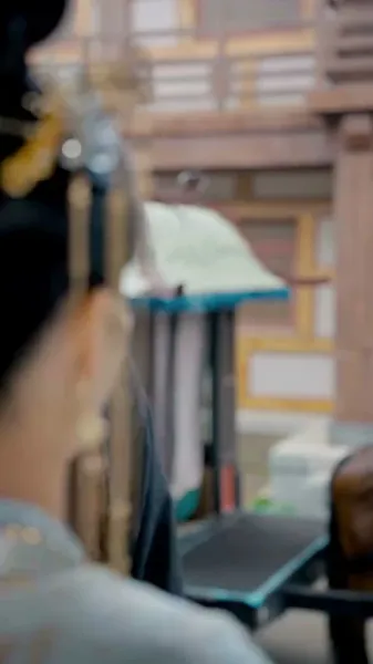 นางสนมพลิกฟ้า