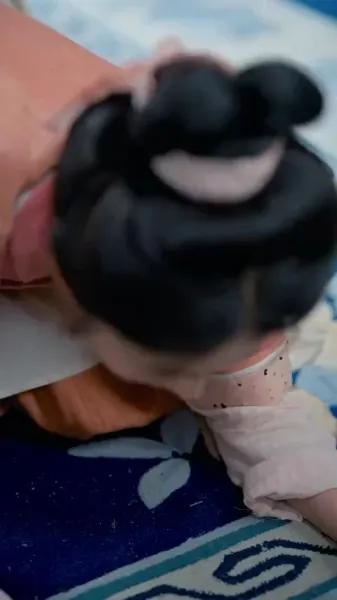 นางสนมพลิกฟ้า