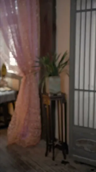 นางสนมพลิกฟ้า