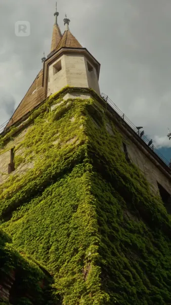 เจ้าสาวเงียบของอัลฟ่า ที่ถูกสาป