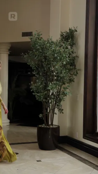 เจ้าสาวเงียบของอัลฟ่า ที่ถูกสาป