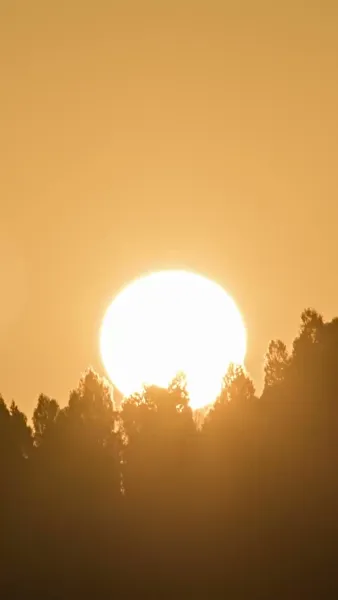 เกิดใหม่มาเป็นแฟนน้าชายชั่ว