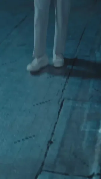 คู่ปรับล่าเงาอดีต