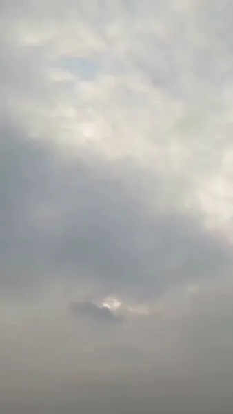 เกิดใหม่มาทวงแค้น